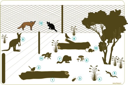 MulligansExperiment fig